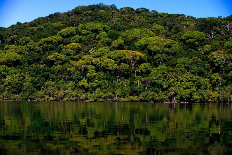 conheça o parque nacional do superagui em guaraqueçaba