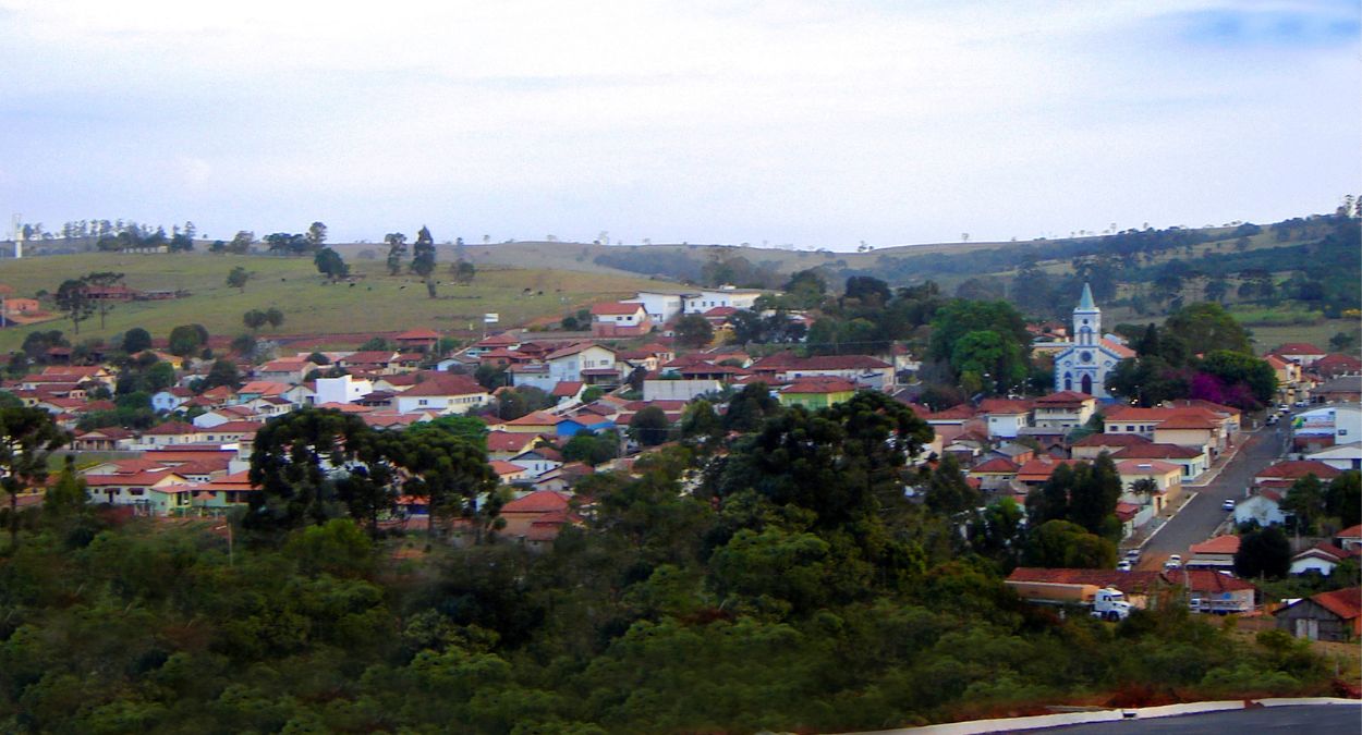 Pardinho (imagem: Wikipedia)